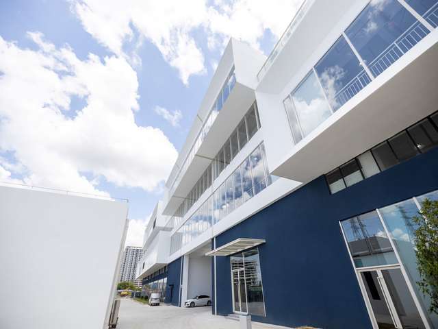 辽宁免地基BX216削片机